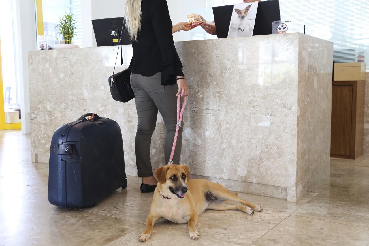 Vitoria Hotel Convention Paulínia Εξωτερικό φωτογραφία